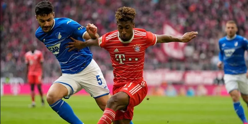 Dự đoán tỷ số trận Bayern Munich vs Hoffenheim